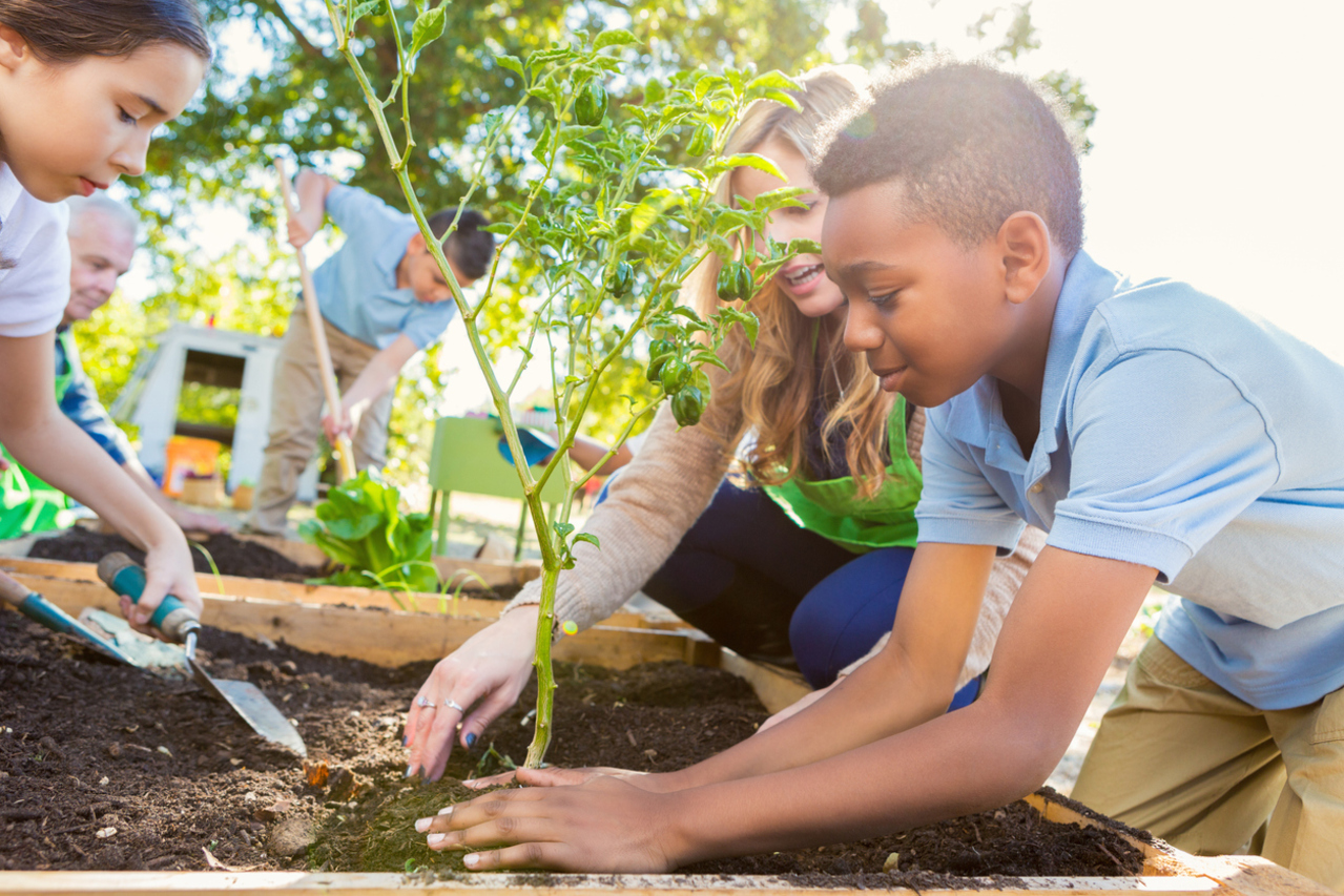 você sabe qual é a importância da educação ambiental?