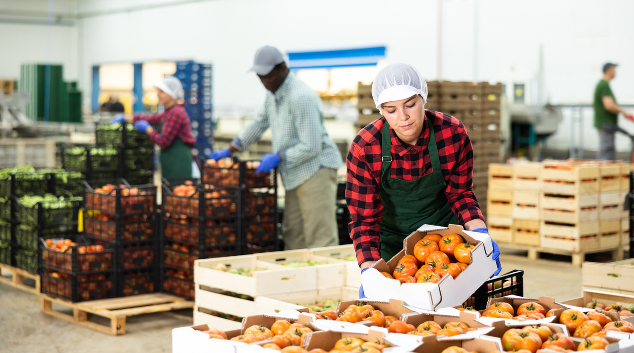 4 soluções inteligentes para evitar o desperdício de alimentos
